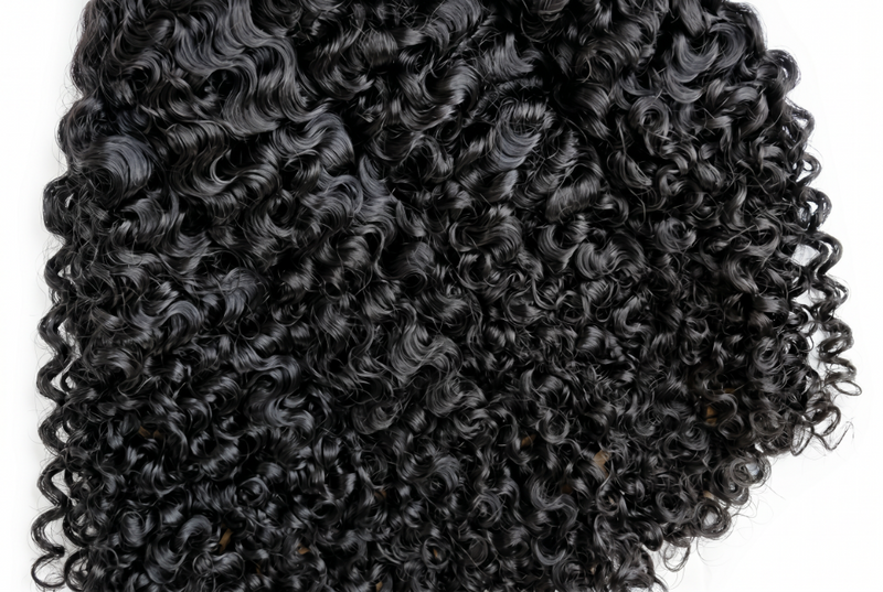 Burmese Curls
