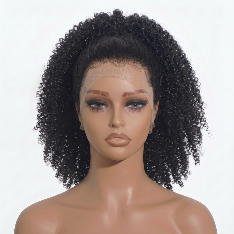 Full Lace Kinky Curly Wig
