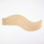 Raw Blonde Straight Weft Extensions